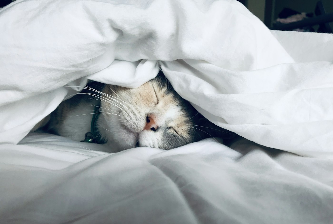 Cozy bedding for restful sleep